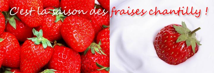 Fraises chantilly